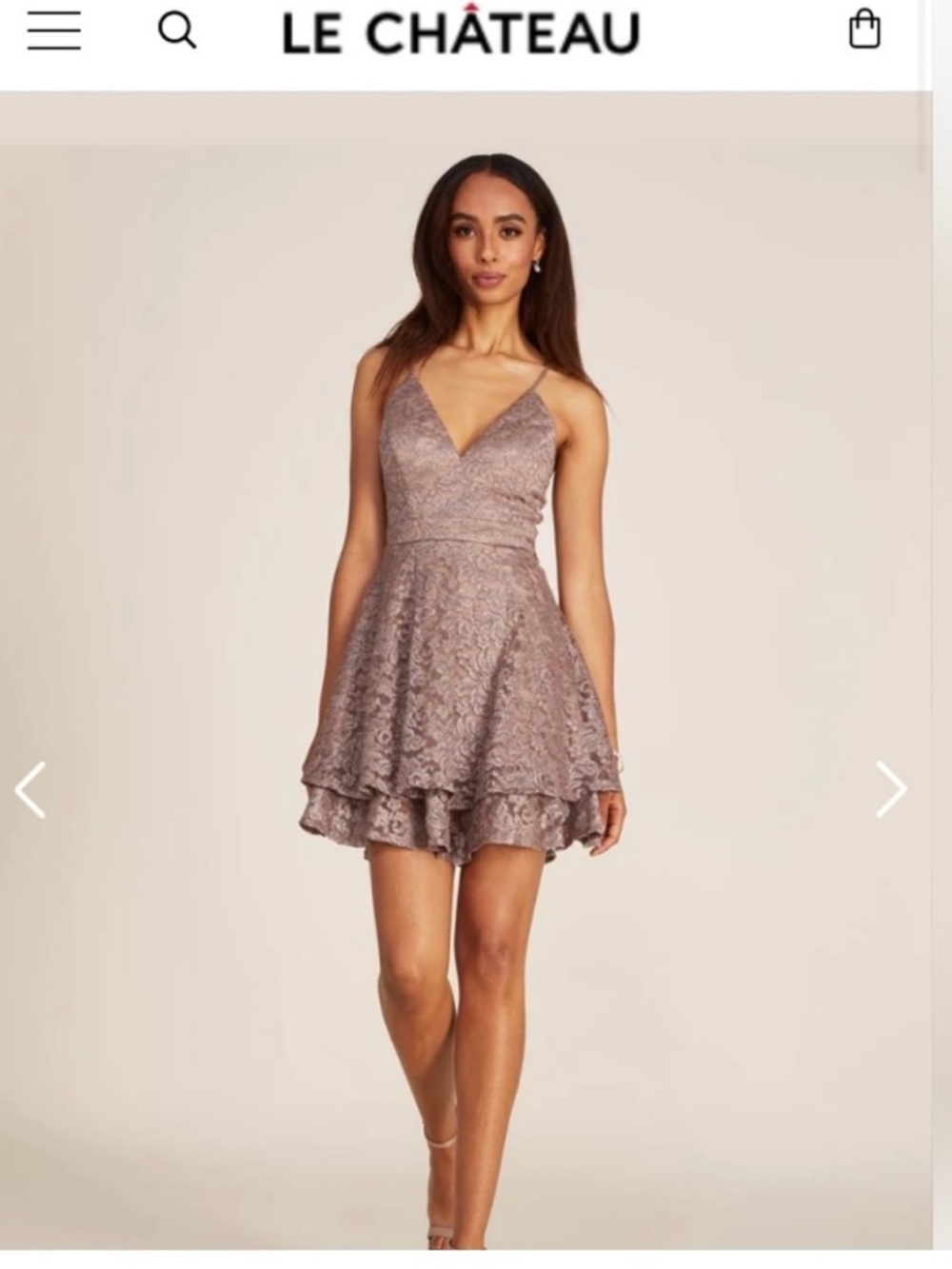 le chateau Dusty Rose Lace Fit & Flare Spaghetti Strap Mini
